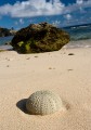 Lord Howe Island_20061214_087